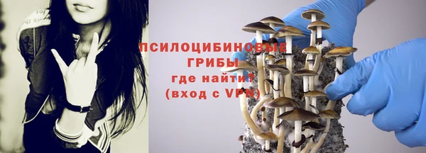 дживик Арсеньев