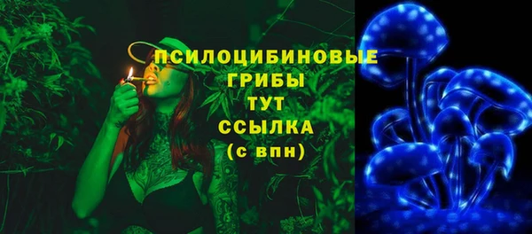 дживик Арсеньев