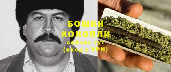 прущие грибы Алексин